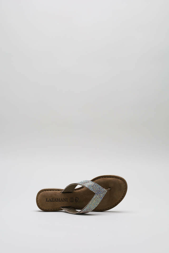 Zilver Slipper image