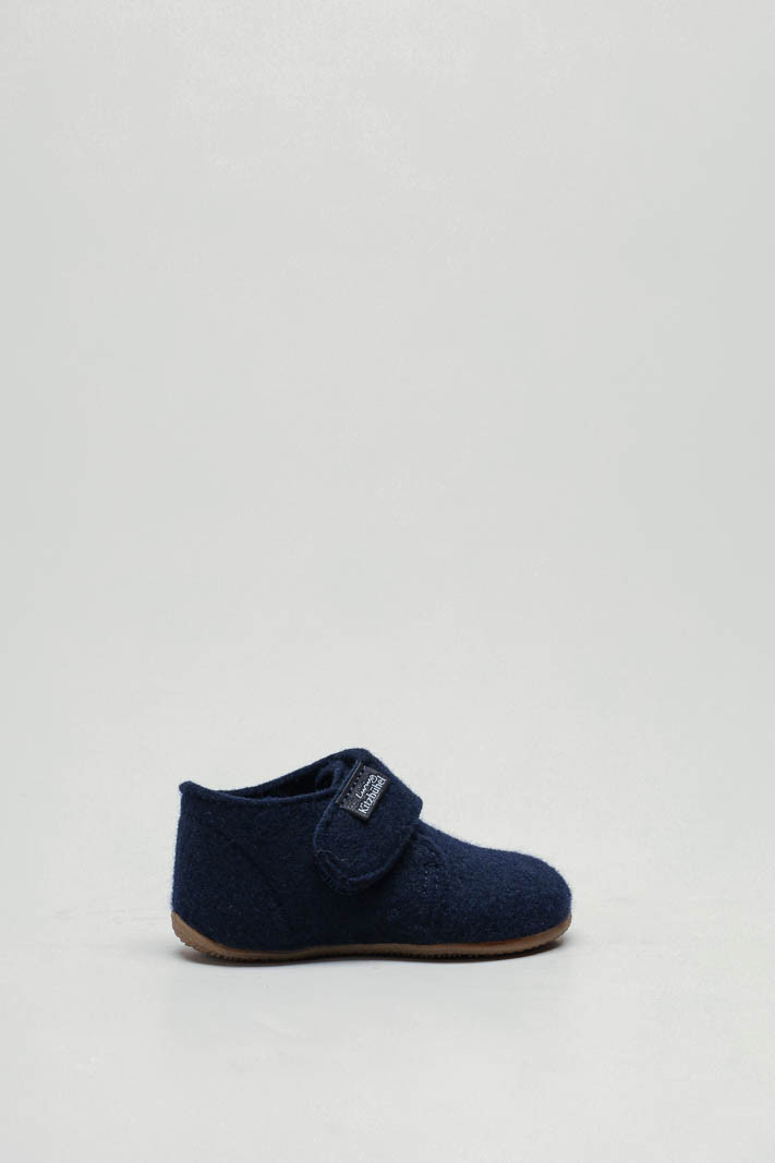 Blauw Pantoffel image