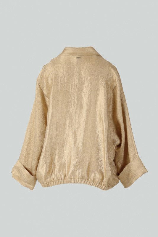 Goud Blouse image