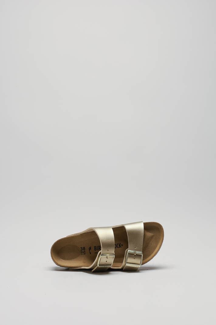 Goud Slipper image