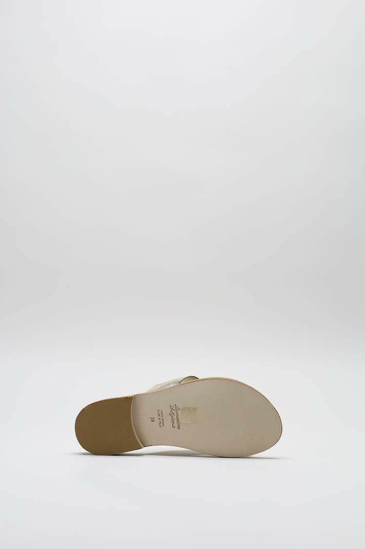 Goud Slipper image