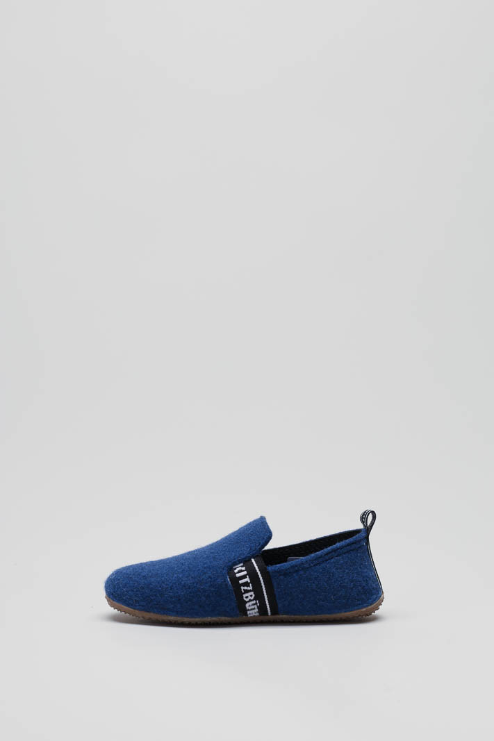 Blauw Pantoffel image