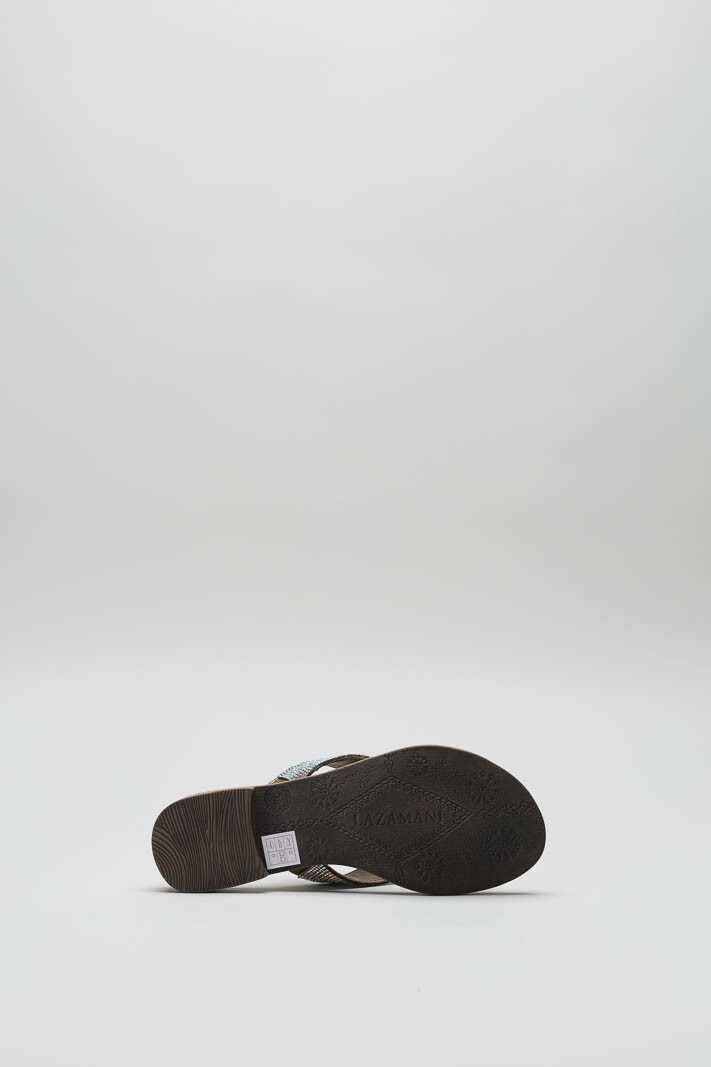 Zilver Slipper image