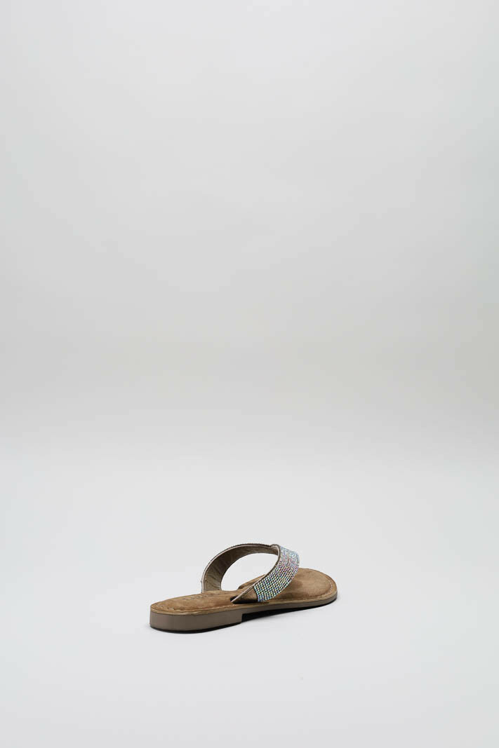 Zilver Slipper image