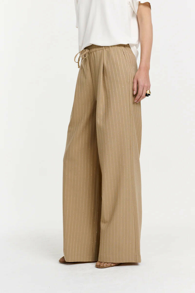 Camel Broek image