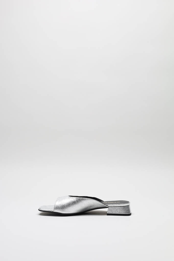 Zilver Slipper image