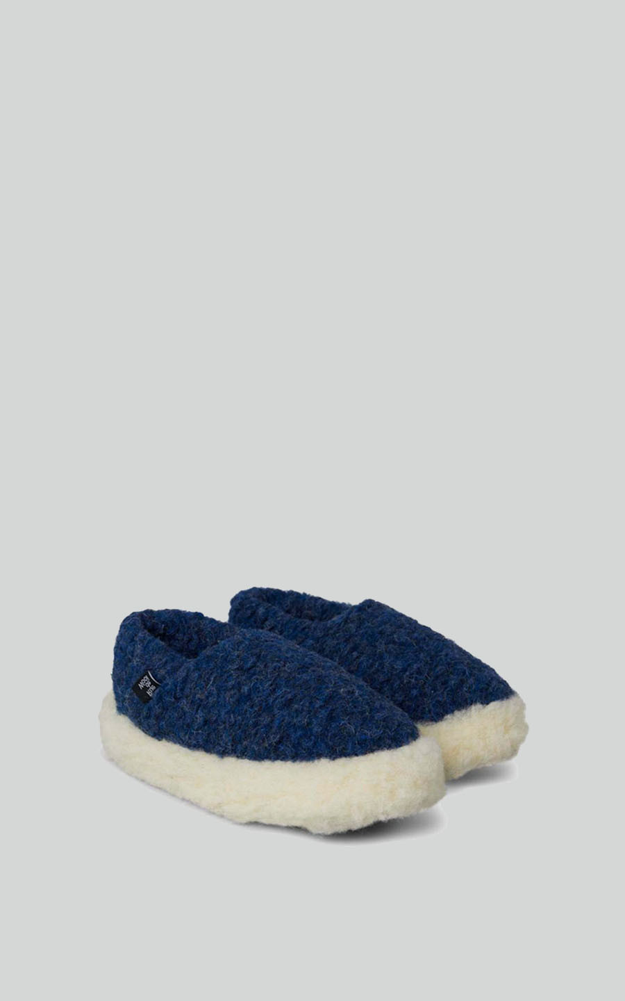 Blauw Pantoffel image