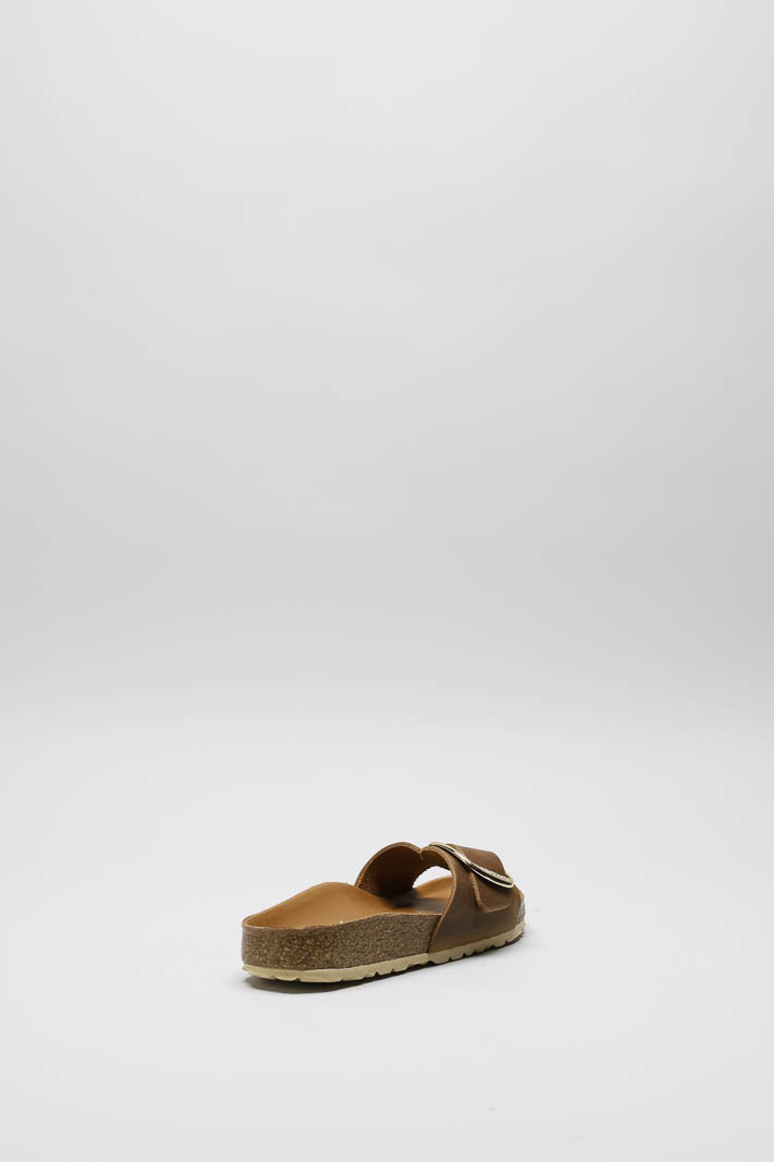 Bruin Slipper image