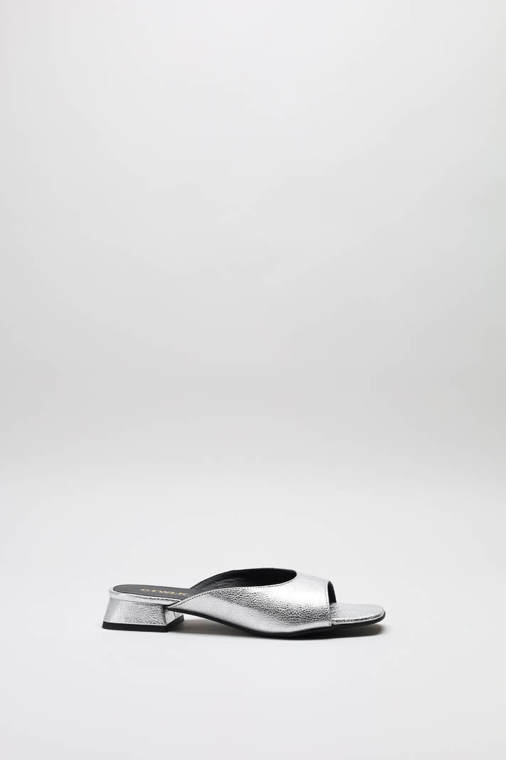 Zilver Slipper image