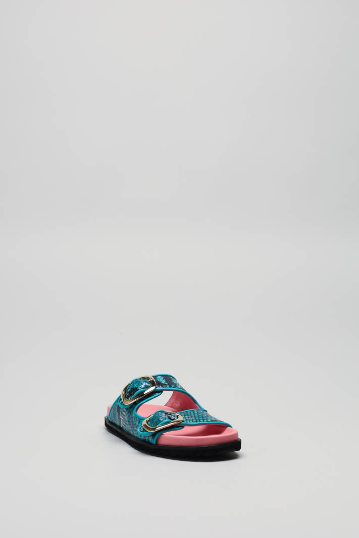 Turquoise Slipper image