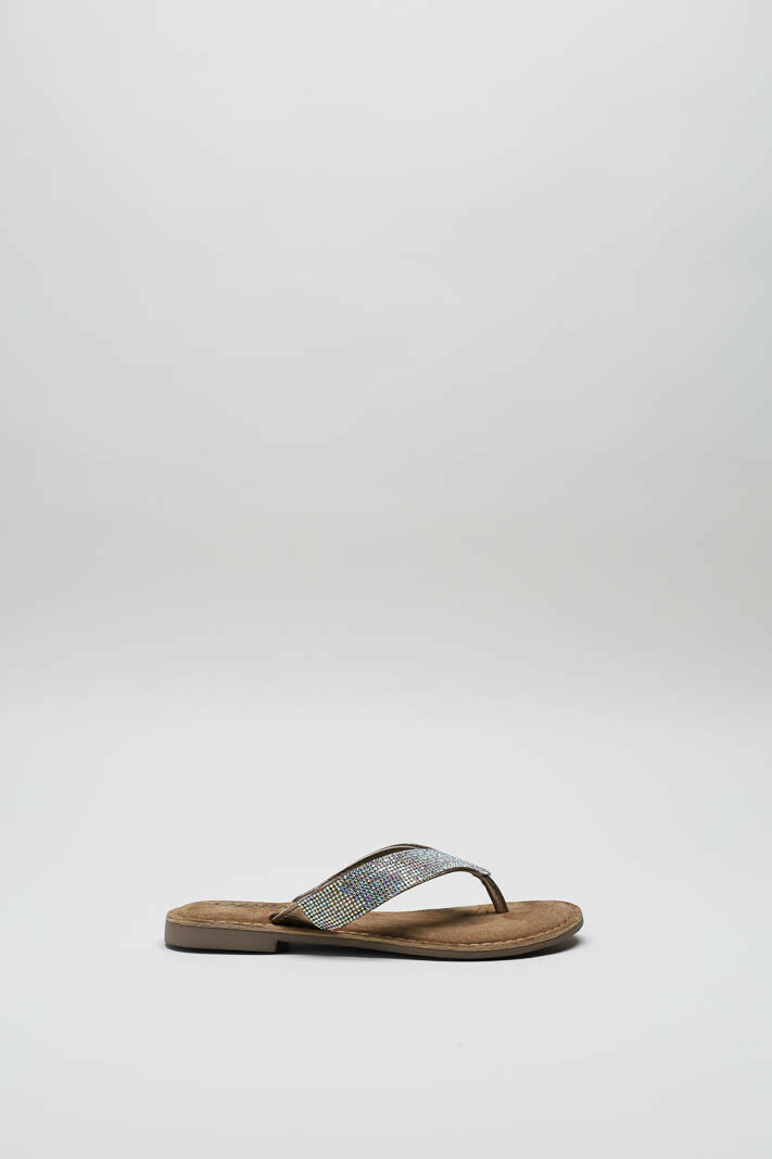 Zilver Slipper image