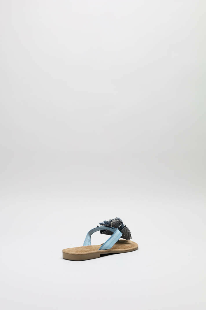 Blauw Slipper image