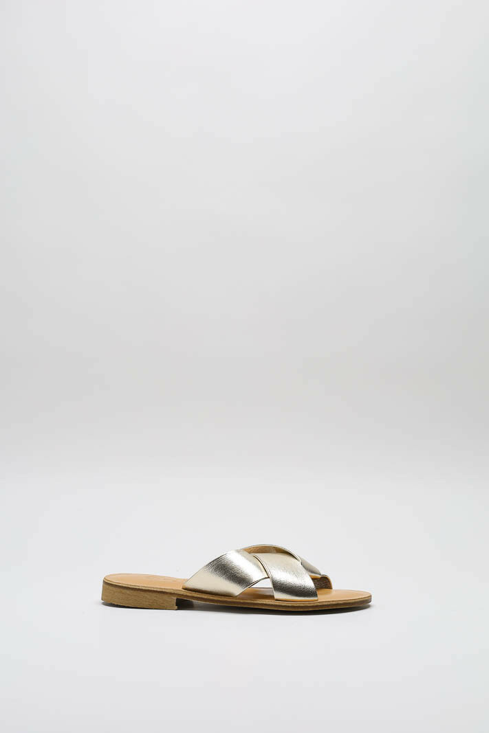 Goud Slipper image