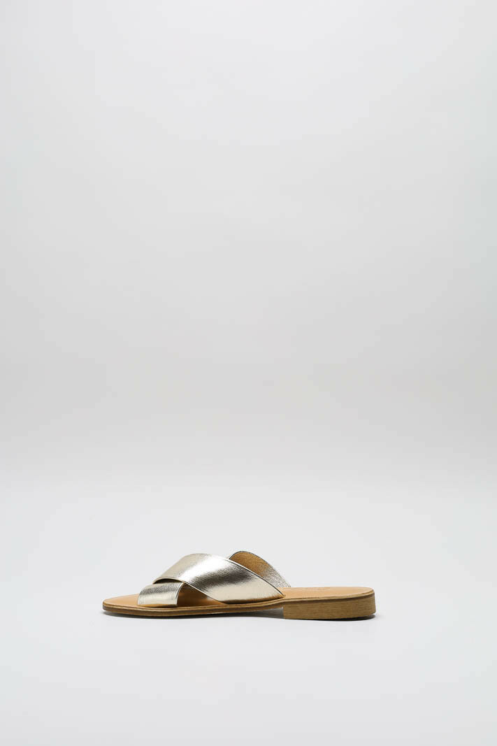 Goud Slipper image