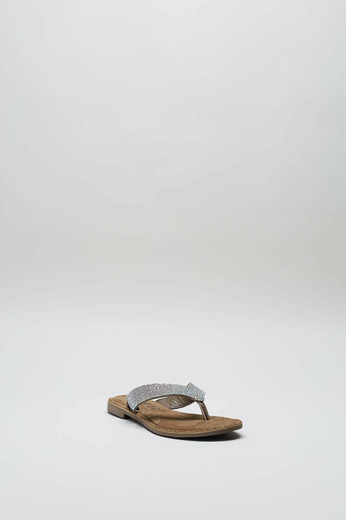 Zilver Slipper image