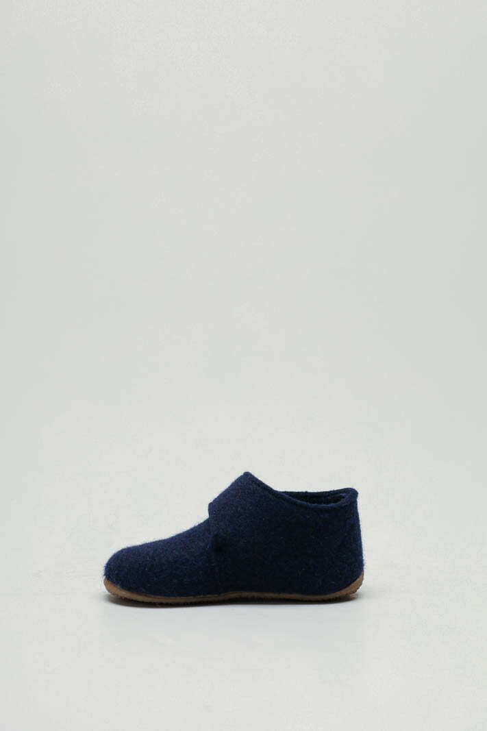 Blauw Pantoffel image