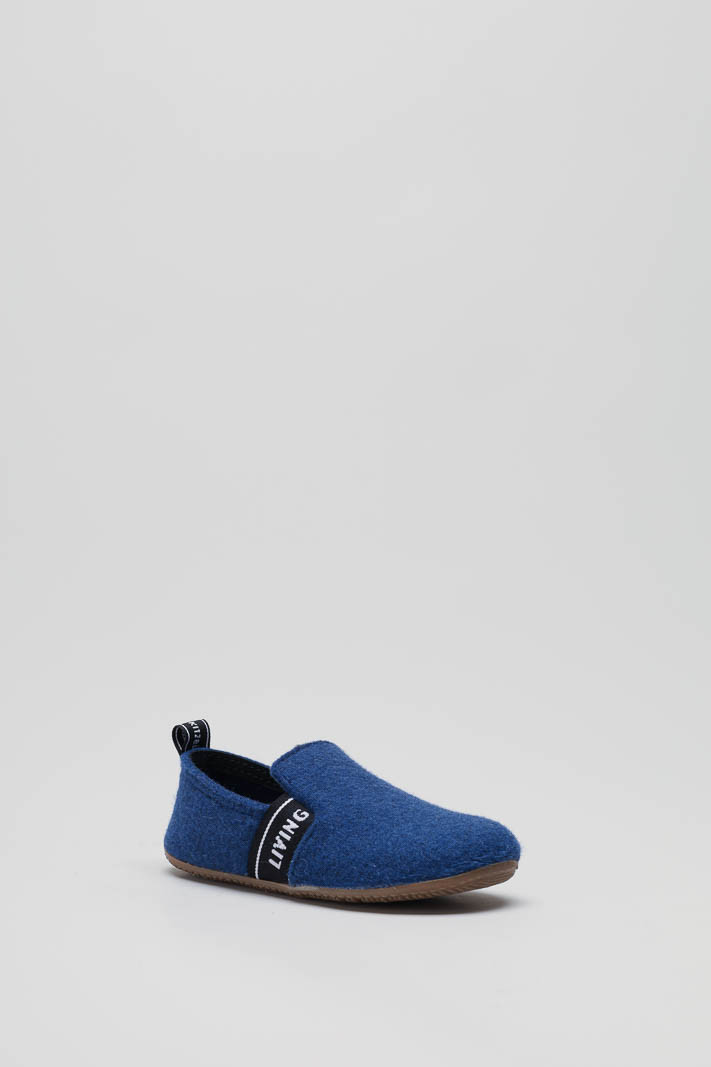 Blauw Pantoffel image