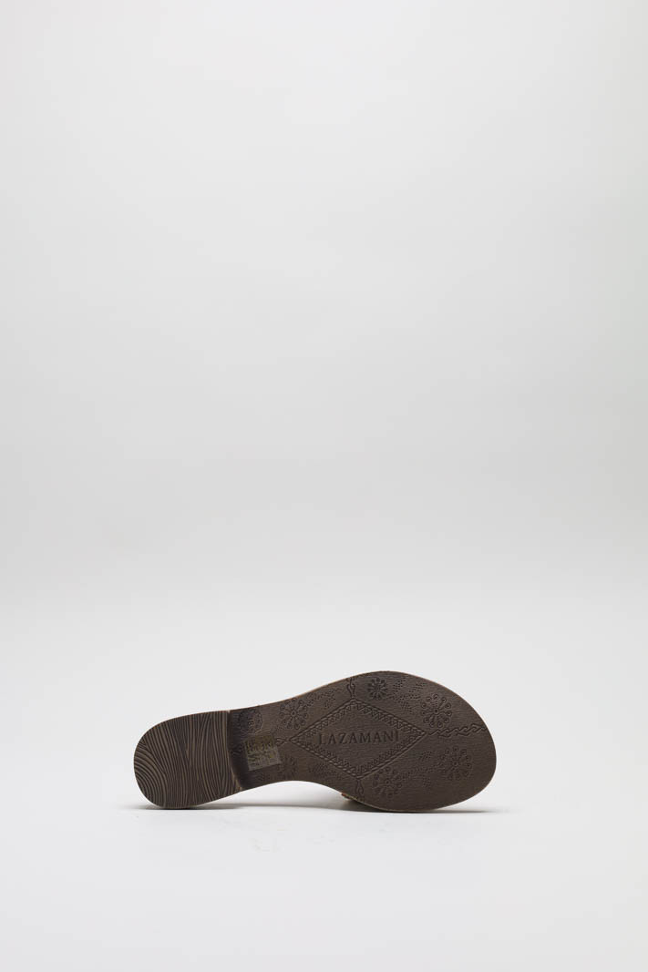 Goud Slipper image