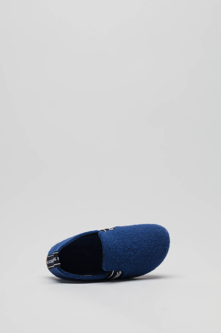 Blauw Pantoffel image