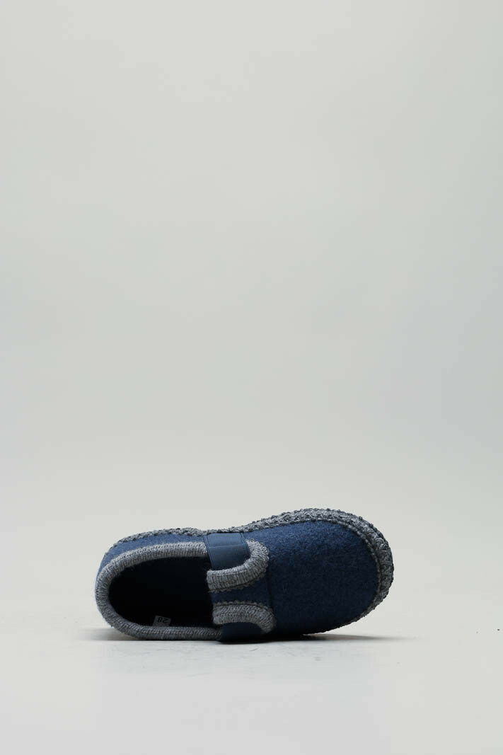 Blauw Pantoffel image