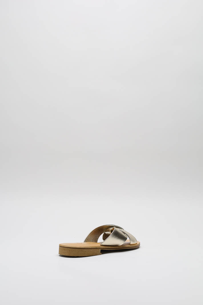 Goud Slipper image