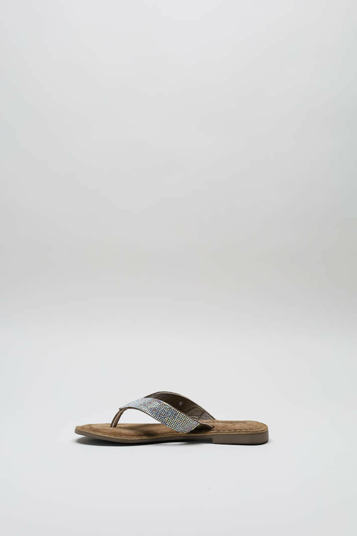 Zilver Slipper image