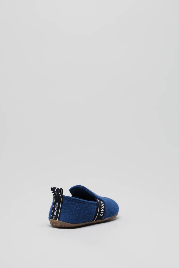 Blauw Pantoffel image