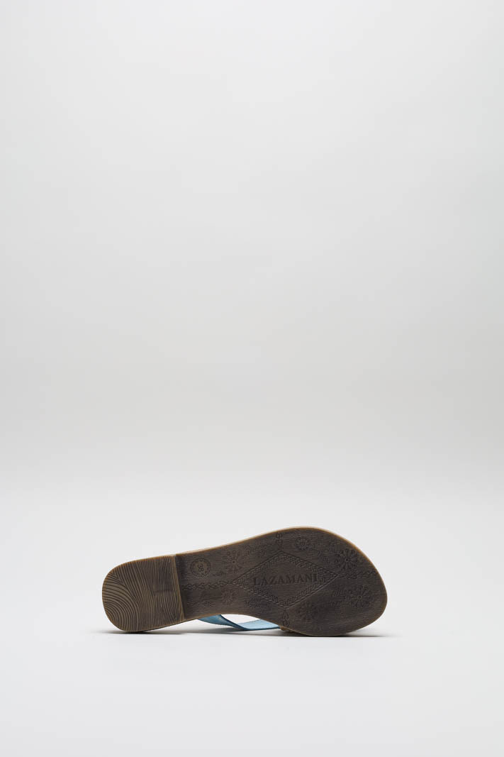 Blauw Slipper image