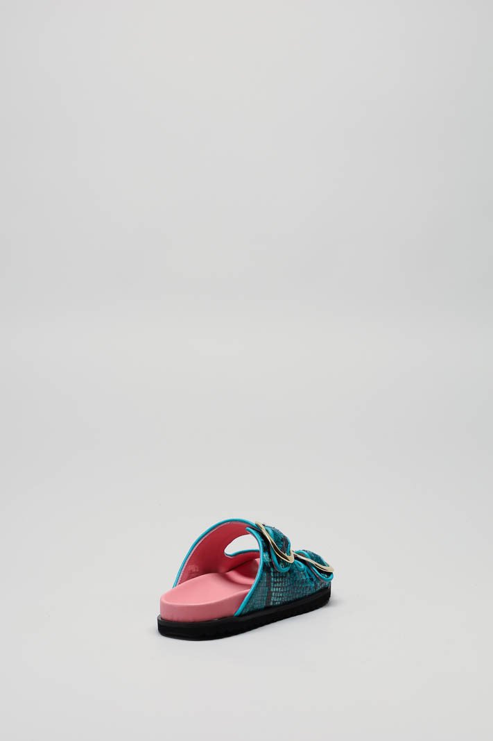 Turquoise Slipper image