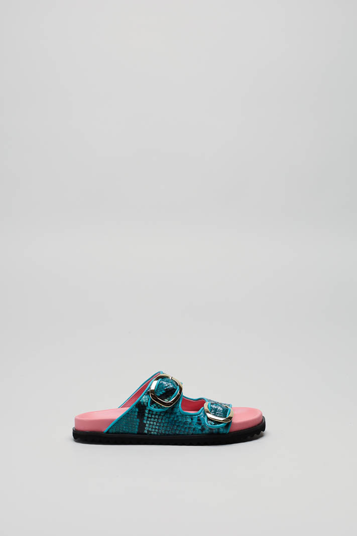 Turquoise Slipper image