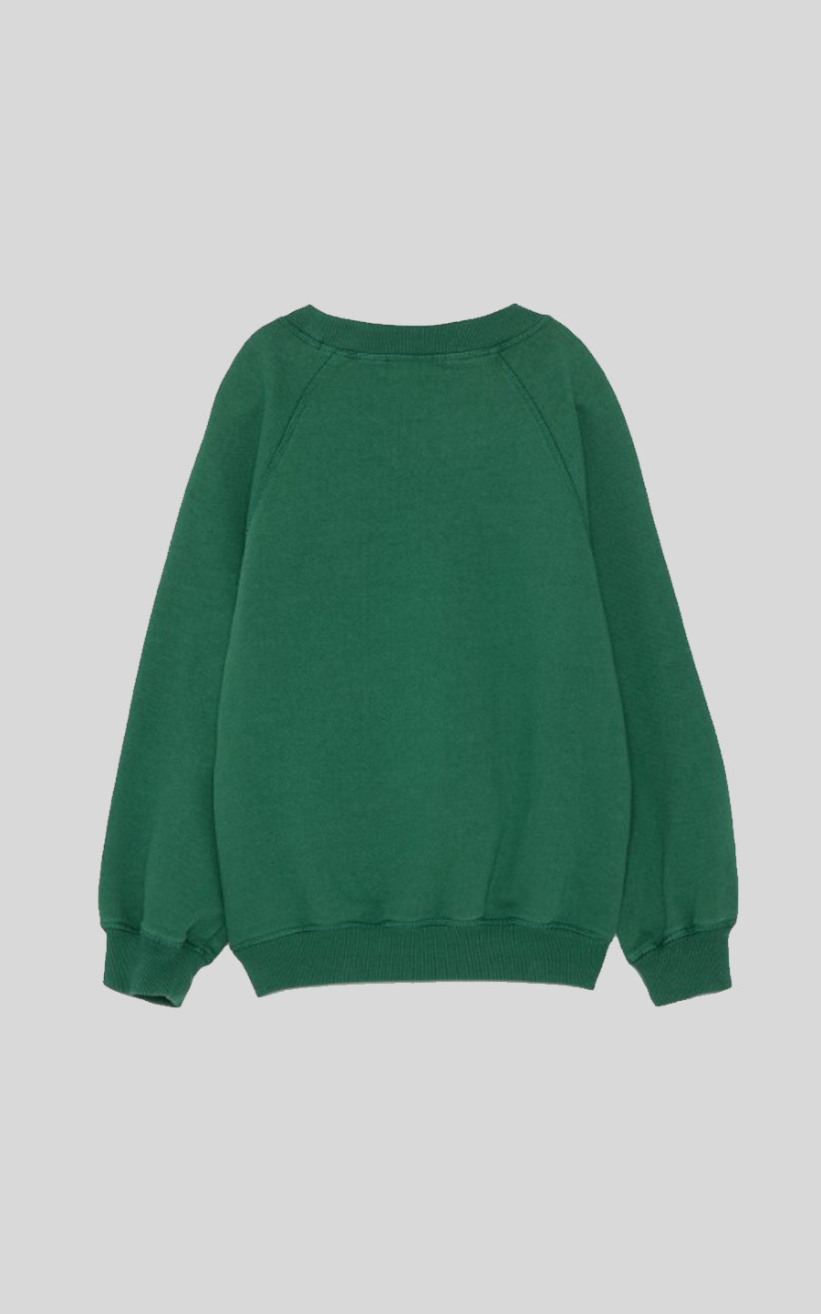 Groen Sweater image