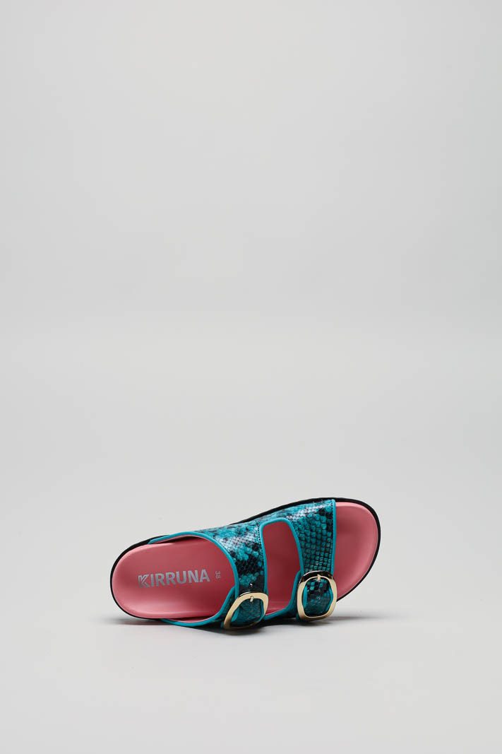 Turquoise Slipper image