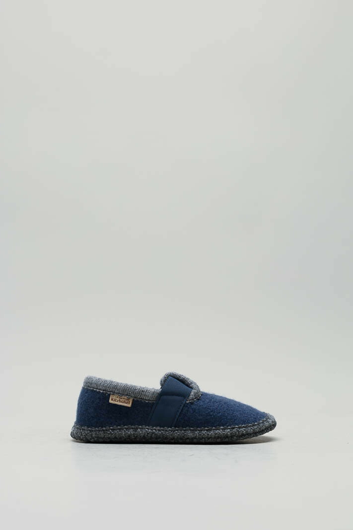 Blauw Pantoffel image