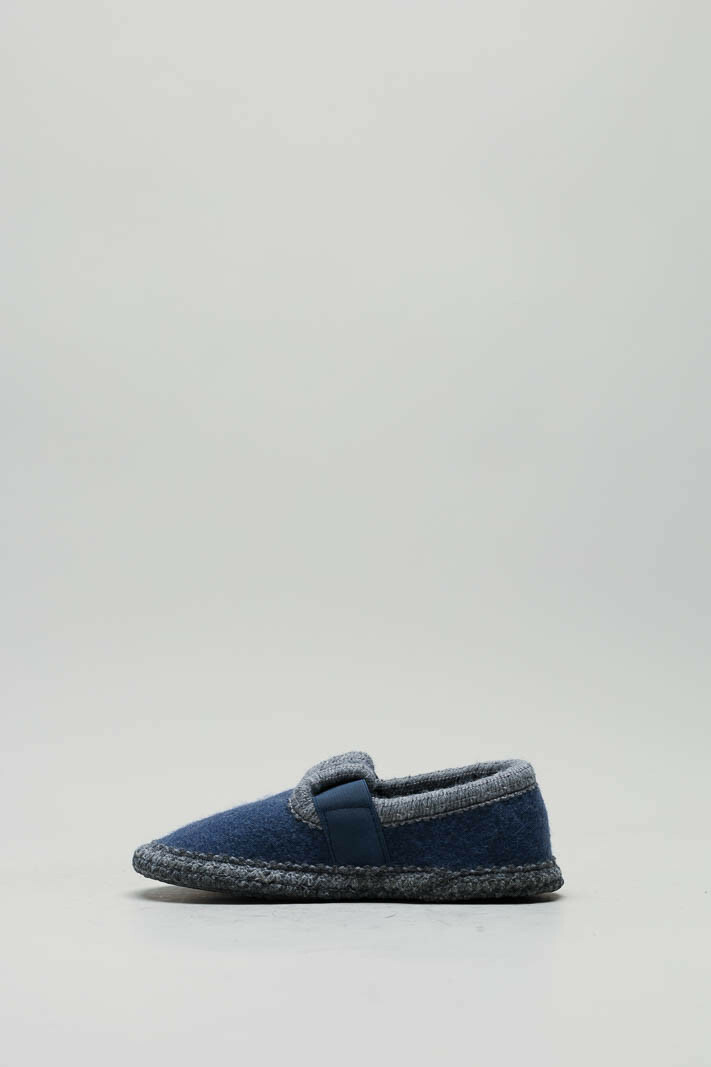 Blauw Pantoffel image