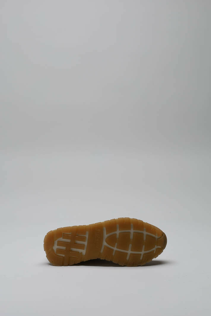 Camel Sneaker image