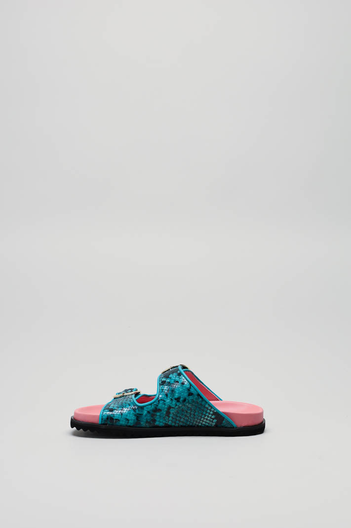 Turquoise Slipper image