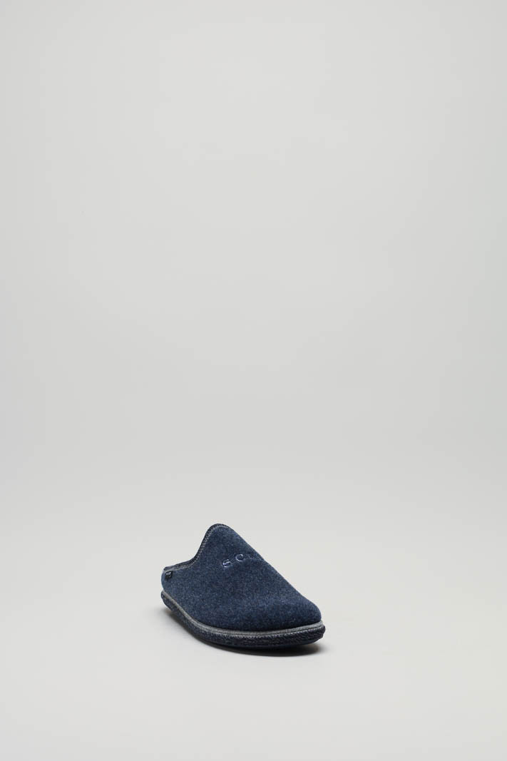 Blauw Pantoffel image